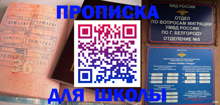 прописка иностранных граждан в Кандалакше